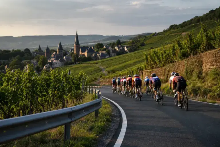 Illustrazione editoriale: gruppo di ciclisti su una strada tra i vigneti tedeschi