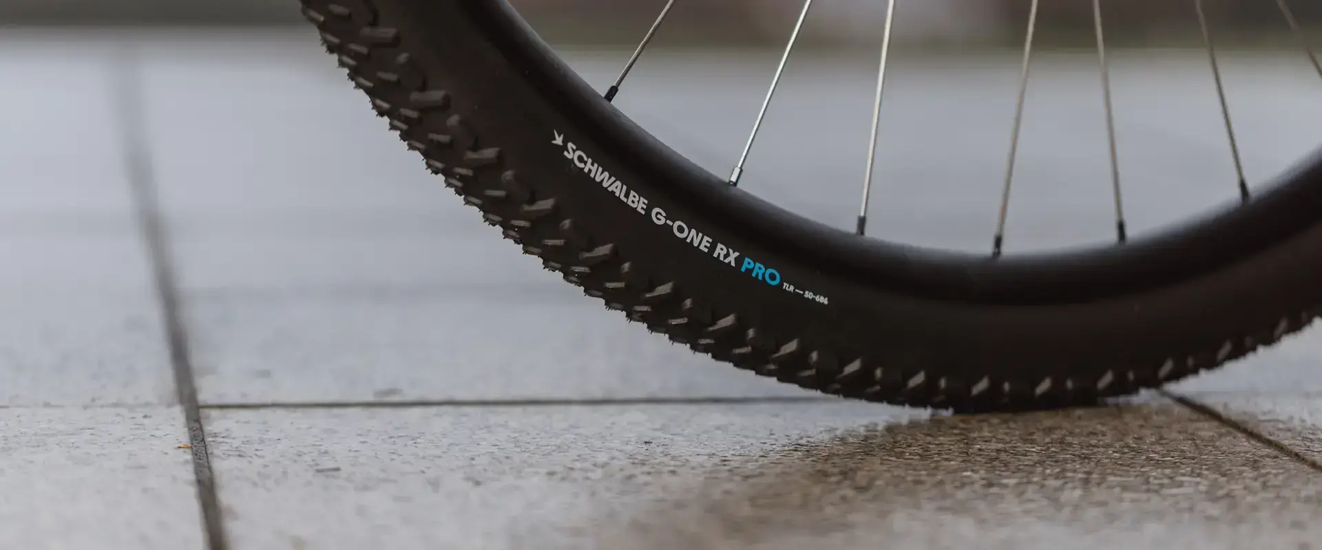Prototipo gravel con pneumatici Schwalbe da 32 pollici