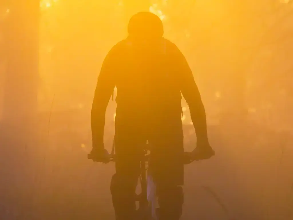 Ciclista lungo un sentiero boschivo della Ciclovia MOTA