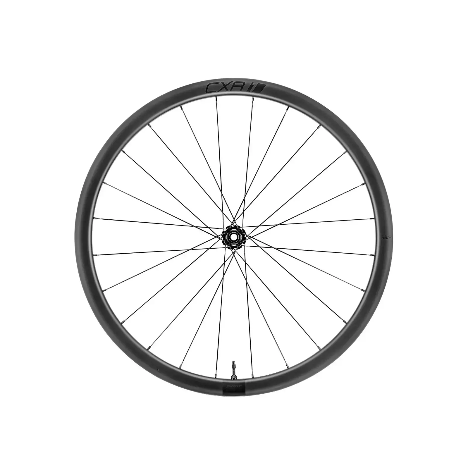 Giant CXR1 anteriore aftermarket
