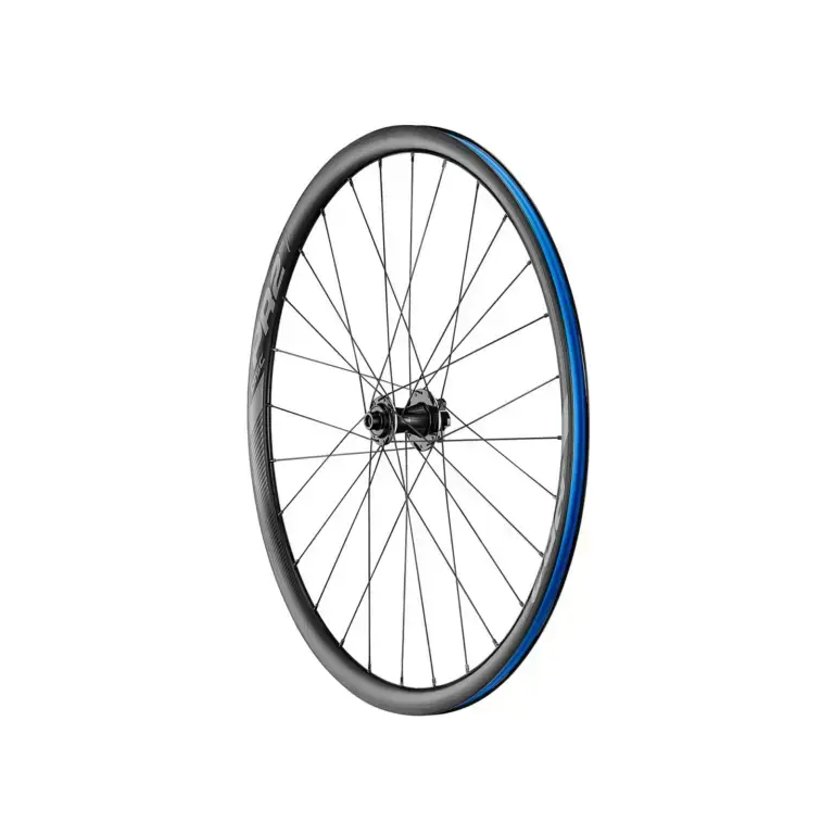 Giant P-R2 Disc Brake anteriore aftermarket