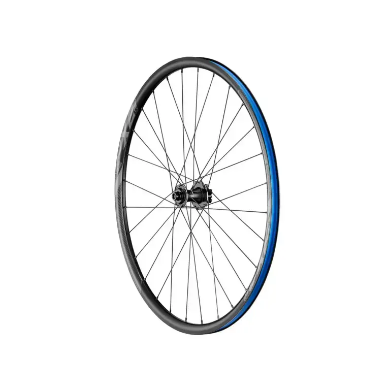 Giant P-X2 Disc Brake anteriore thru axle aftermarket