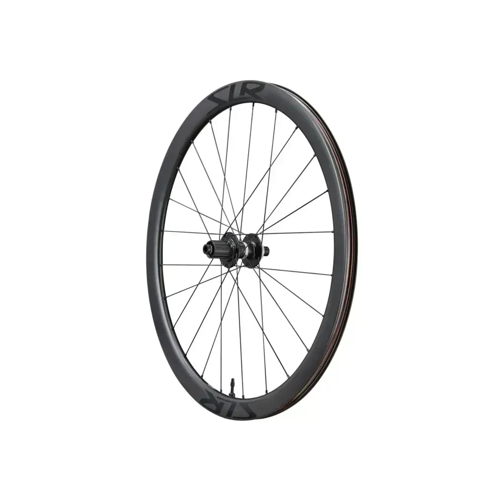 Ruota posteriore Giant SLR 2 40 aftermarket con corpetto visibile