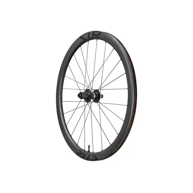 Ruota posteriore Giant SLR 2 40 aftermarket con corpetto visibile