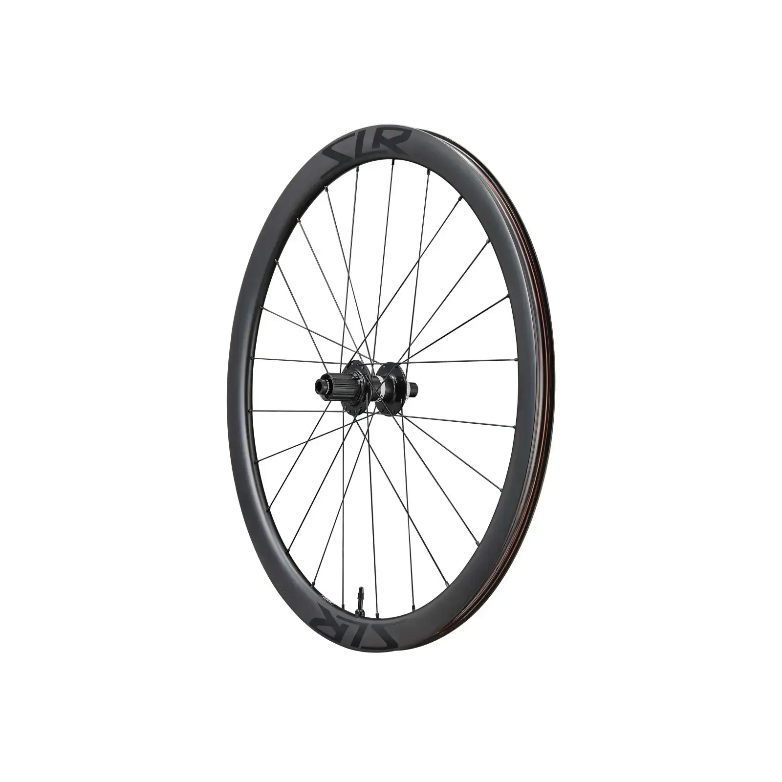 Ruota posteriore Giant SLR 2 40 aftermarket con corpetto visibile